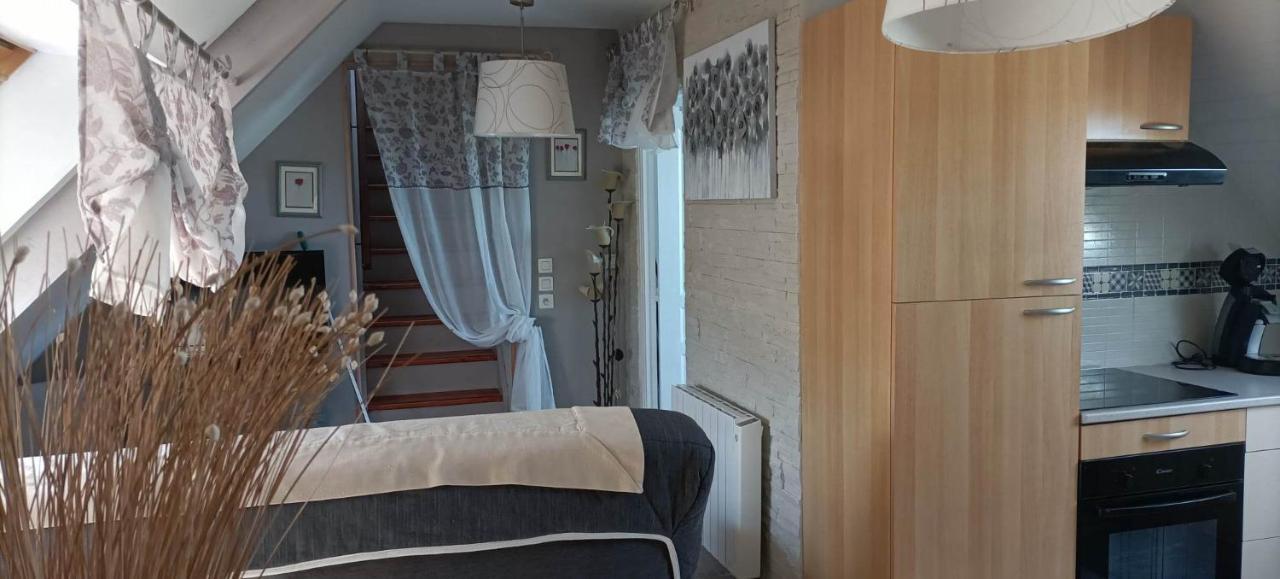 Appartement Le Cosy à Lanvallay Extérieur photo